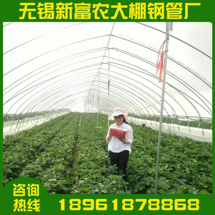 配送新型钢结构智能玻璃温室大棚蔬菜玻璃温室阳光板温室育苗大棚