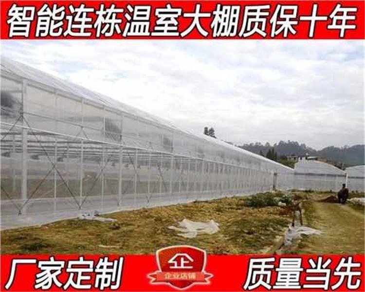 【连栋薄膜温室】蔬菜大棚生产厂家供应蔬菜大棚 蔬菜塑料大棚
