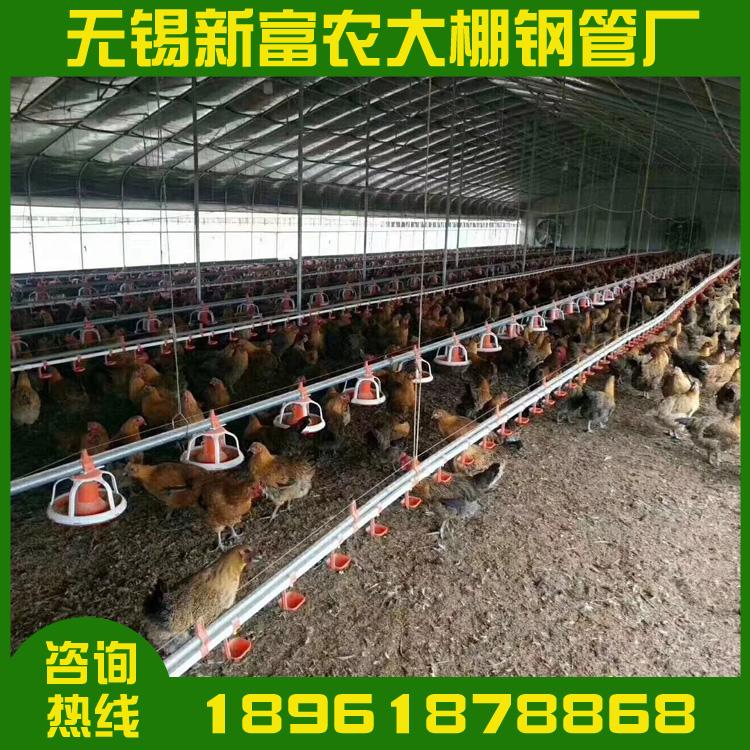 厂家直销Q235温室蔬菜大棚镀锌钢管  批发大棚配件异型镀锌管