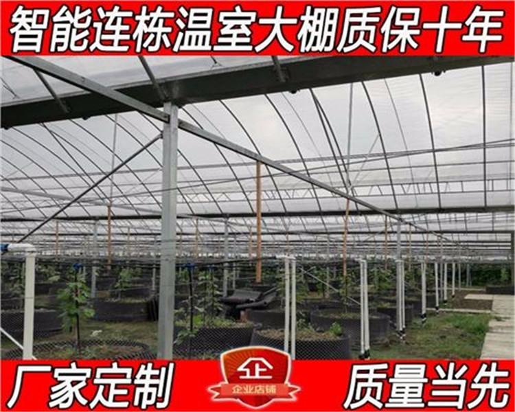连栋薄膜温室建造 venlon型连栋温室 智能温室总公司