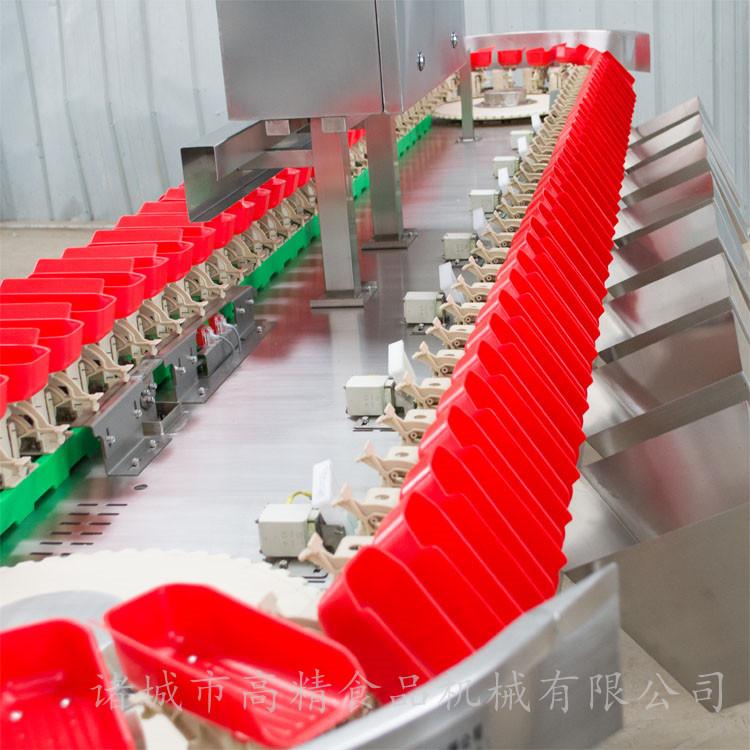 诸城高精 SUS304 不锈钢分选机 分级机 定量分拣机厂家直销