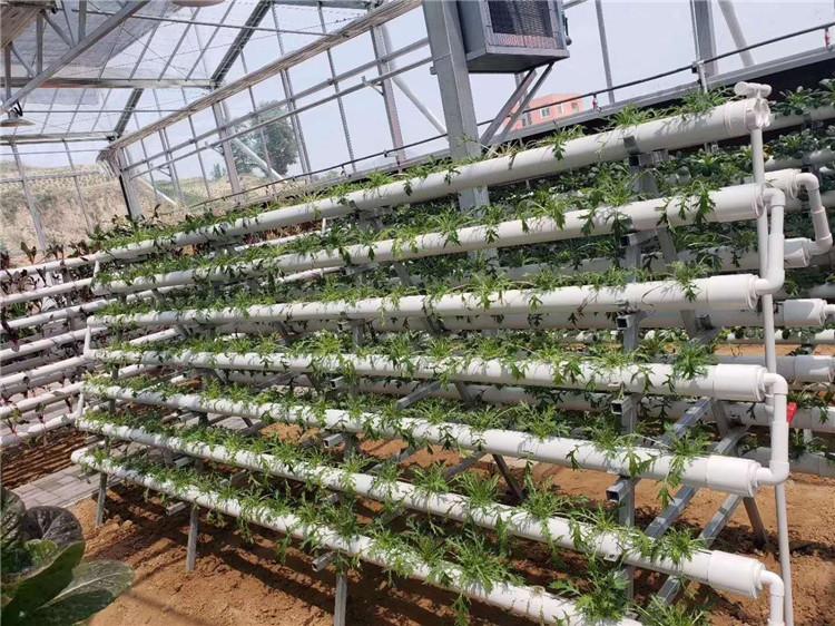 无土栽培材料 厂家直营节能温室大棚 温室蔬菜大棚安装设计