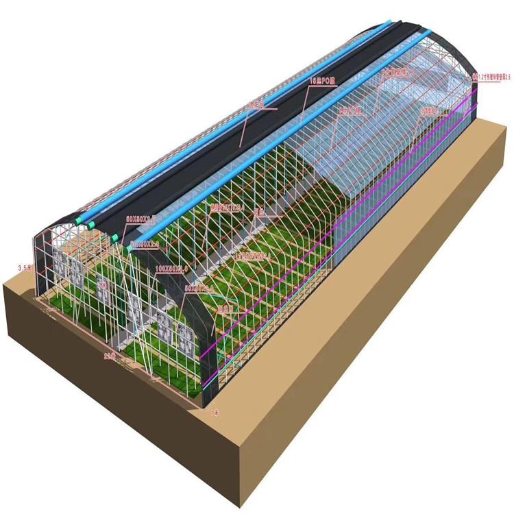 钢架大棚-钢架大棚建设