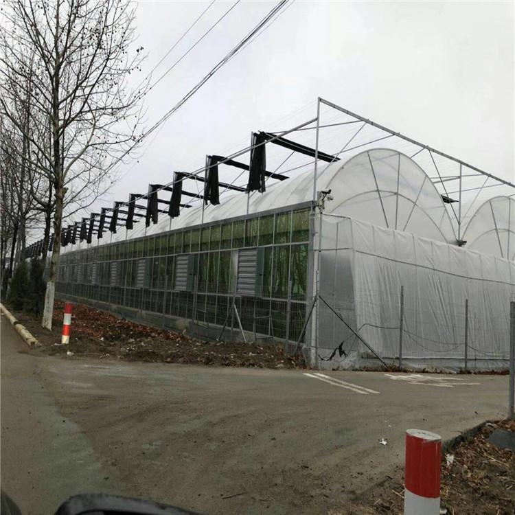 温室大棚 温室大棚建设