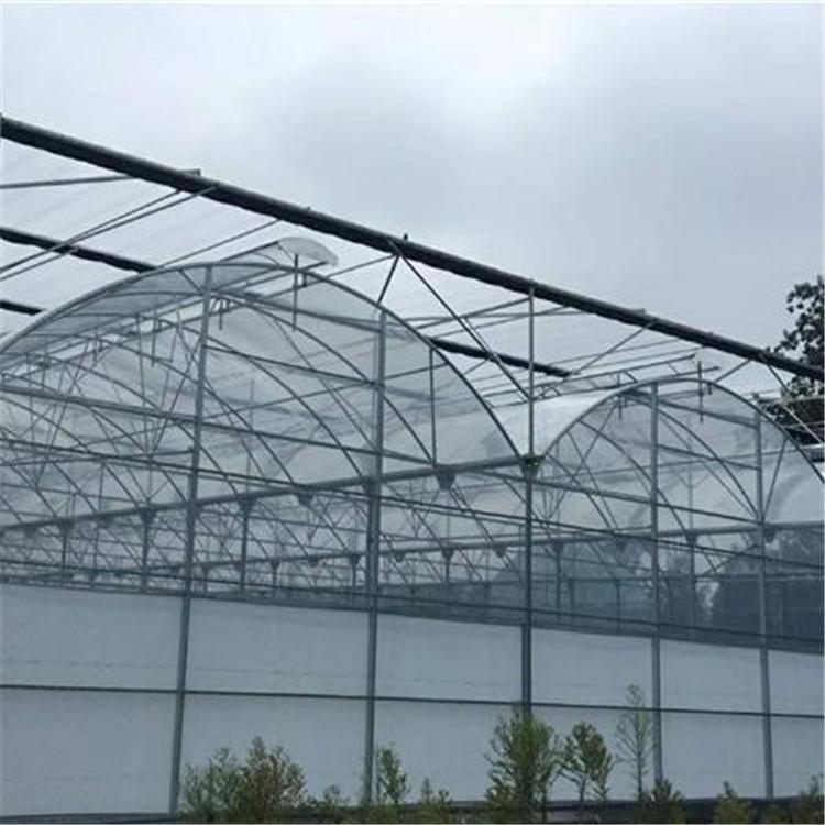 连栋温室 连栋温室建设 山水合温室