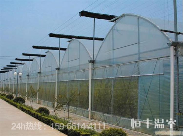 山东薄膜温室建设 薄膜温室大棚建造