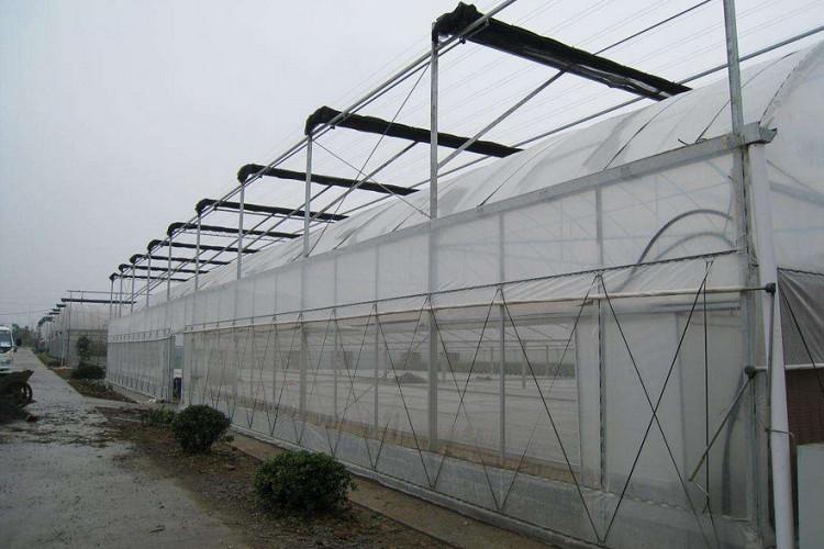 连栋薄膜温室大棚 外遮阳智能温室大棚