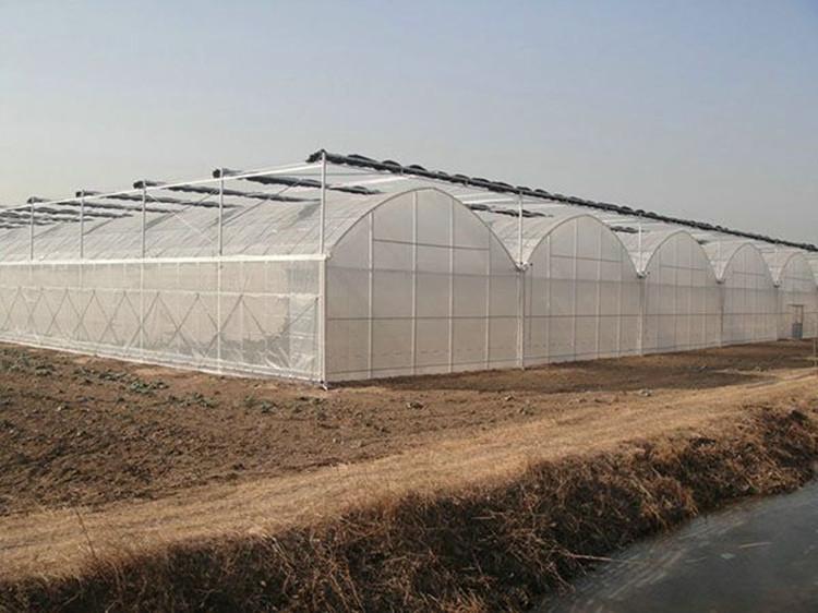 批发薄膜连栋温室大棚 蔬菜暖棚 阳光板温室 日光温室大棚