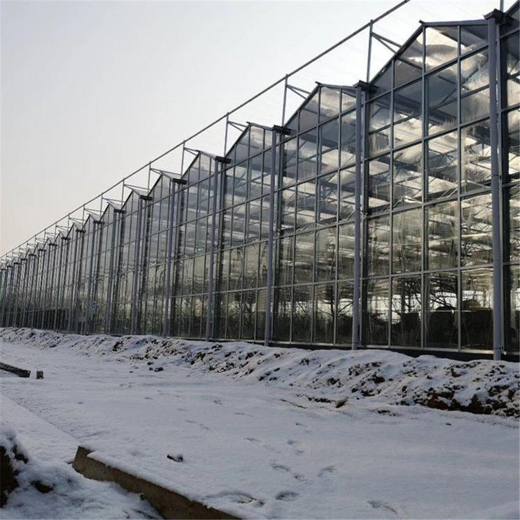 青州蔬菜温室大棚公司 蔬菜玻璃温室 口碑好的玻璃温室建设商