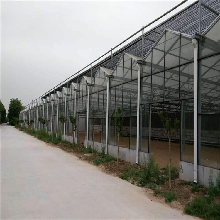 玻璃温室设计 玻璃温室 青州蔬菜温室大棚公司 工期快