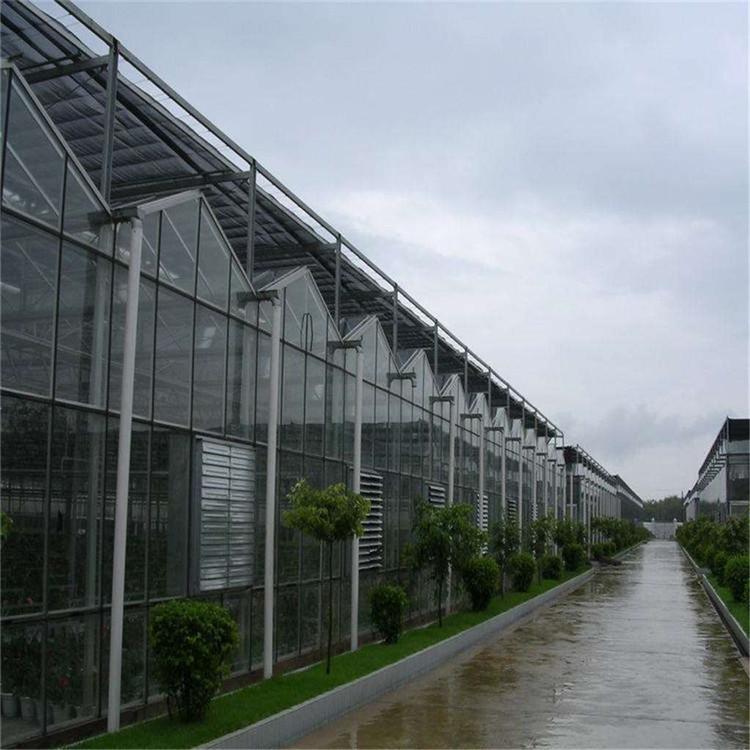 北方园艺温室工程承接 山东温室工程建设 蔬菜玻璃温室