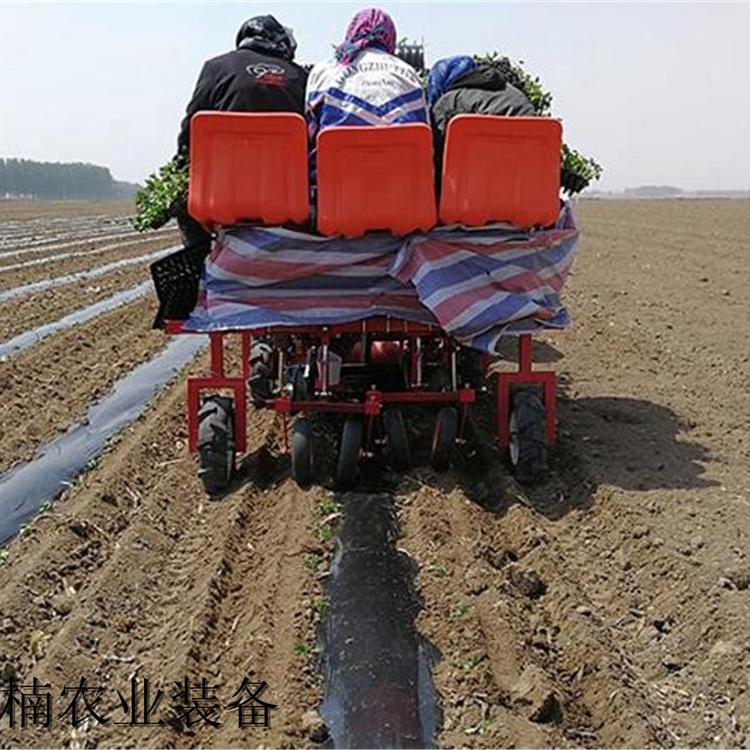 山东移栽机出售 蔬菜移栽机供应 厂家定制番茄移栽机