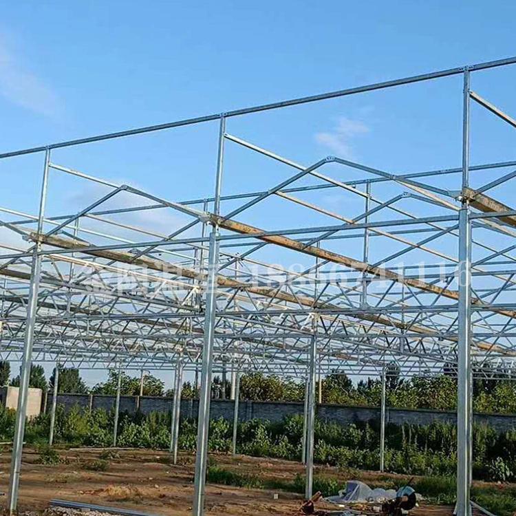 智能温室大棚_连栋蔬菜大棚_连栋温室-青州市金阳温室