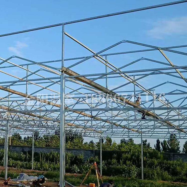 温室大棚连栋温室大棚厂家生态温室餐厅造价金阳欢迎您来电咨询