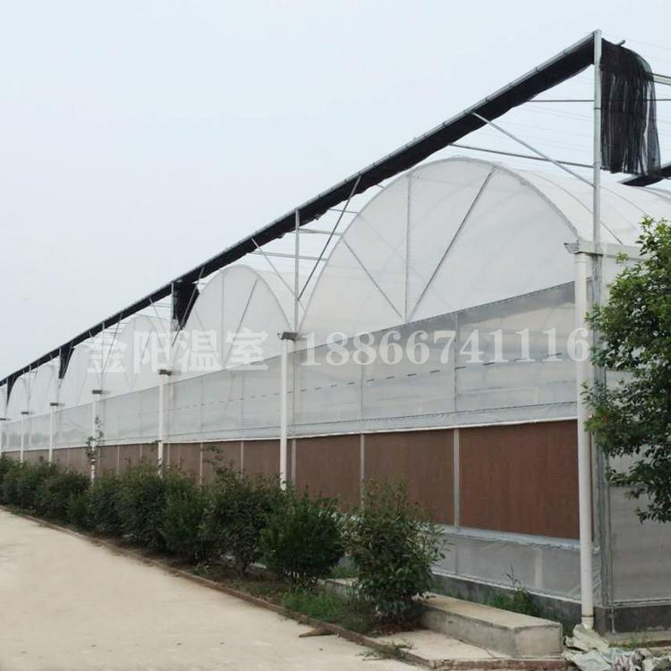 连栋温室大棚连栋大棚养殖温室大棚造价连栋温室大棚厂青州市金阳温室