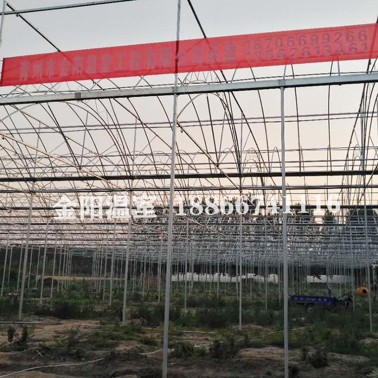 连栋温室大棚建设,温室大棚造价,温室大棚建设-