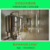 青州纯净水设备厂家 单级双级纯水处理设备 1吨2吨6吨15吨纯净水设备价格