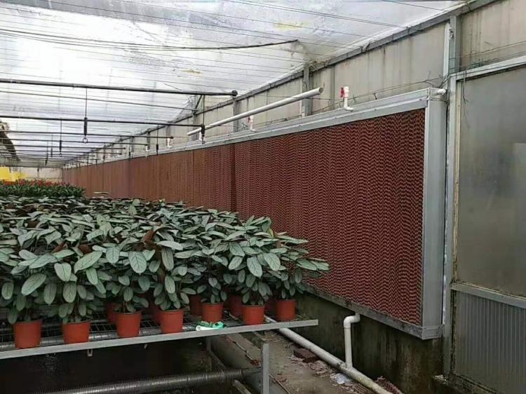 降温湿帘 -山东多面体 厂家直销 优惠多多