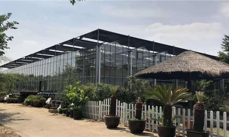 文络型阳光板温室  智能文络玻璃温室 阳光板文络温室建设厂家