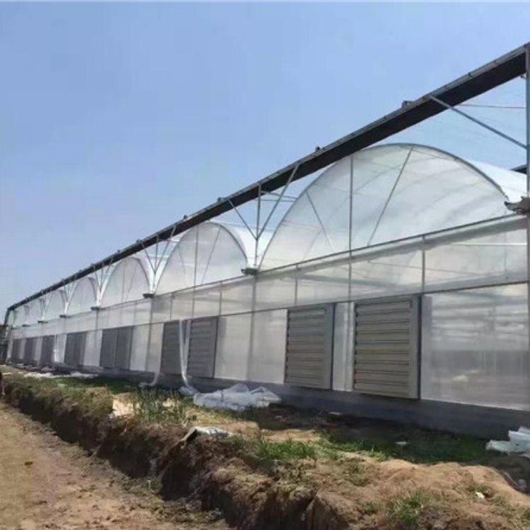 连栋薄膜温室大棚工程 安装建设 水果种植大棚 品质优良 厂家推荐