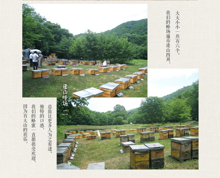 高活性 水白色洋槐蜂蜜 无药残 养蜂合作社批发