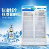 啤酒柜 商用立式饮料展示柜 超市冷藏保鲜柜 便利店冷柜定制