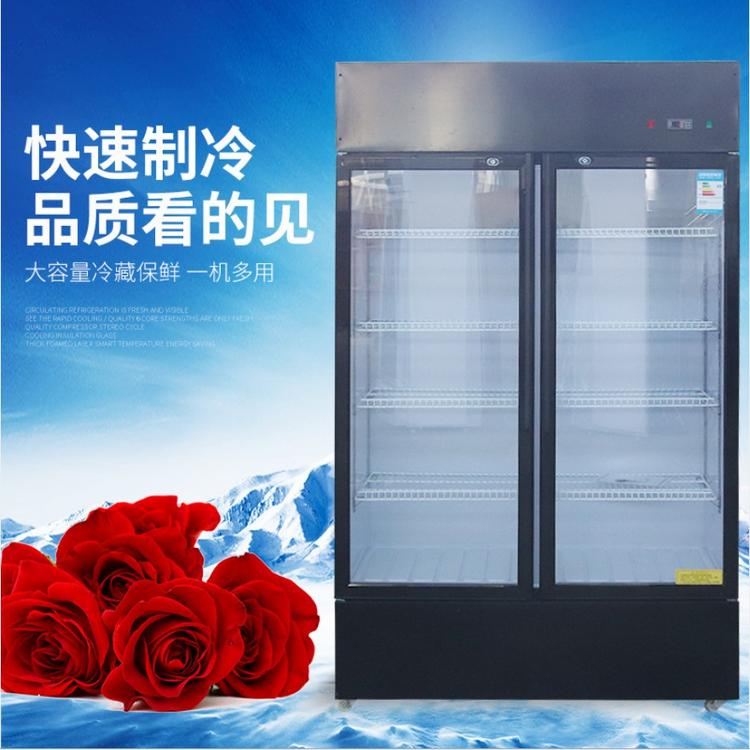 双门鲜花展示柜 风冷鲜花柜 展示柜花店 小型冷藏冷柜 直销