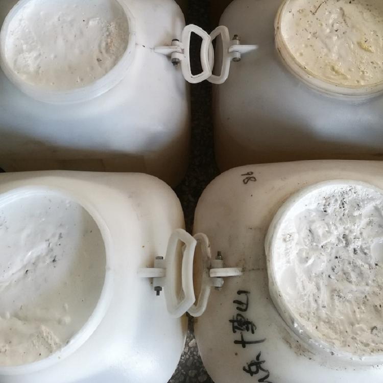 高活性 水白色洋槐蜂蜜 无药残 原蜜批发