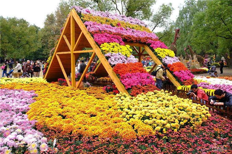 五一草花组摆 节假日组摆花卉批发