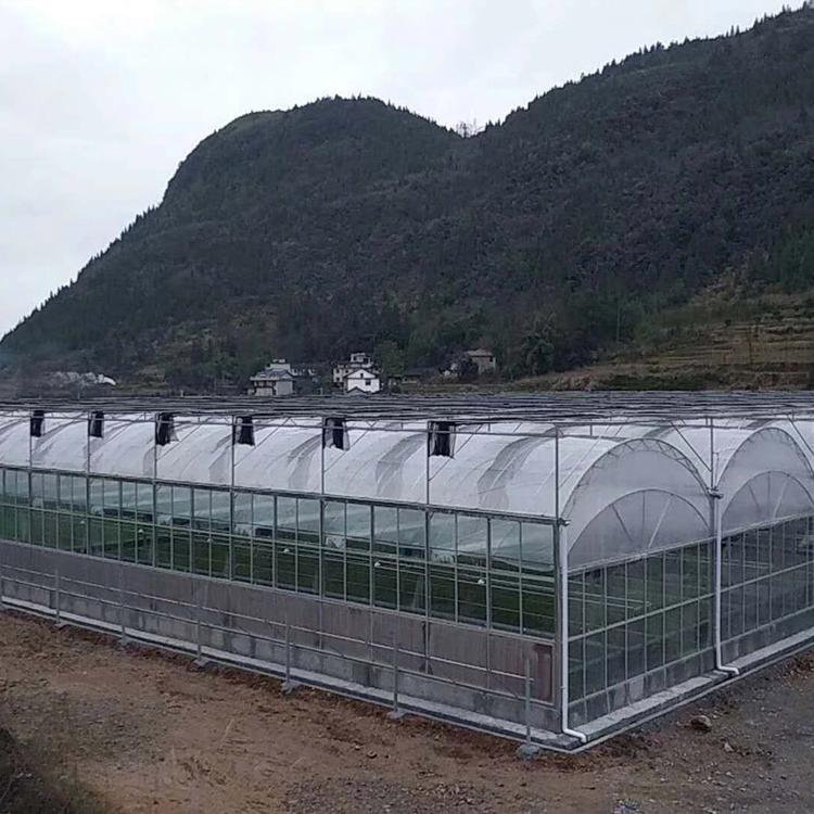 建设薄膜连栋温室 连栋薄膜温室 电话询价 山东连栋温室公司