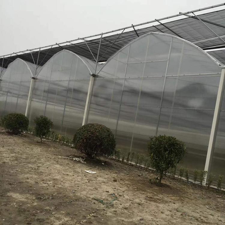 良心工程 青州蔬菜温室承建 建设薄膜连栋温室 连栋温室