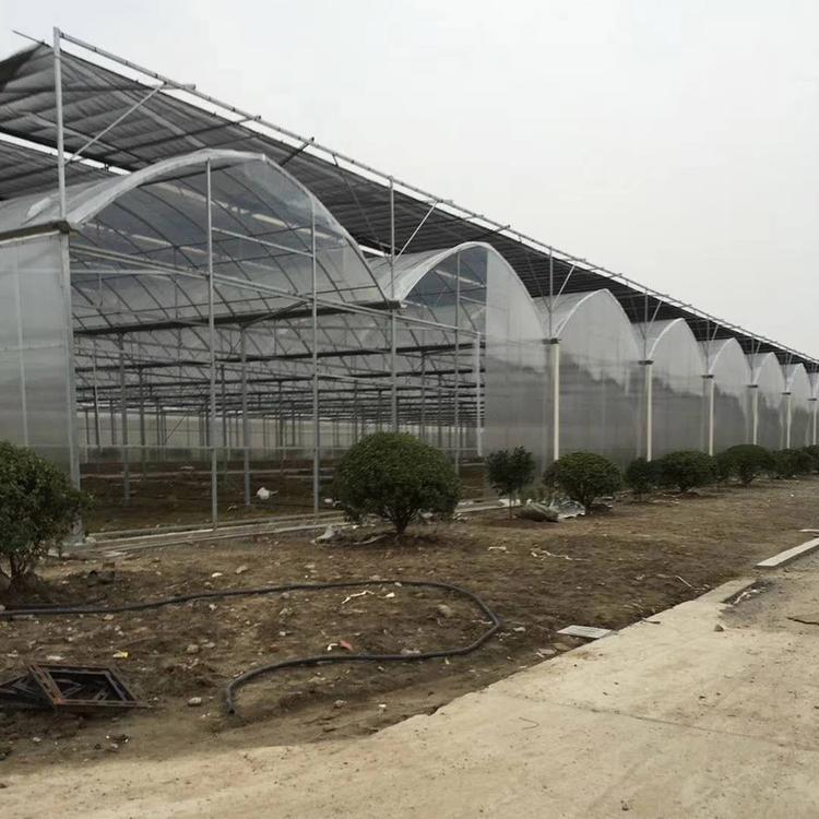 山东温室工程 建设薄膜连栋温室 连栋温室大棚 良心工程