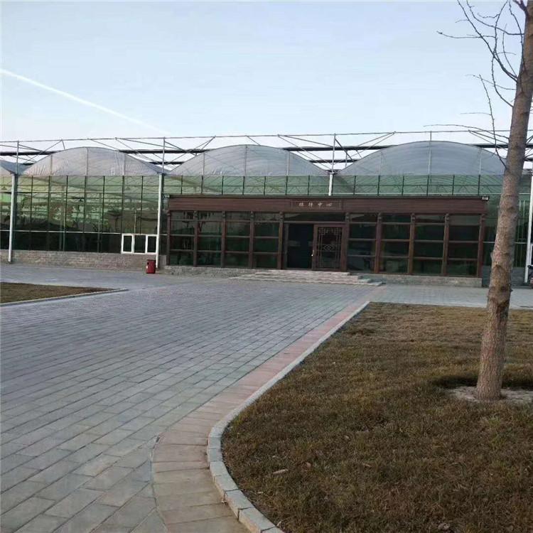 薄膜温室设计 连栋薄膜温室 鸿川温室