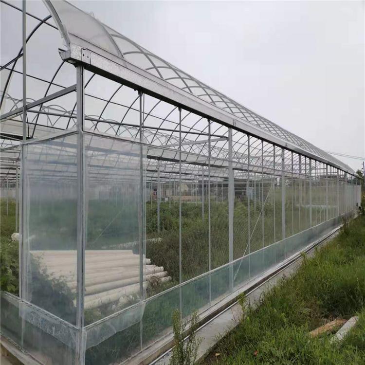 玻璃温室大棚建造公司 鸿川 文洛式玻璃温室建造造价