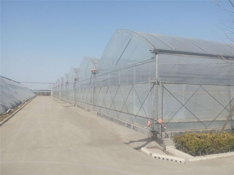 钢拱架薄膜大棚    钢拱架薄膜大棚建设承建
