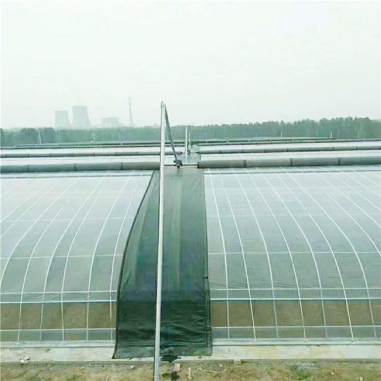连栋薄膜日光温室大棚工程-鋆成兴达