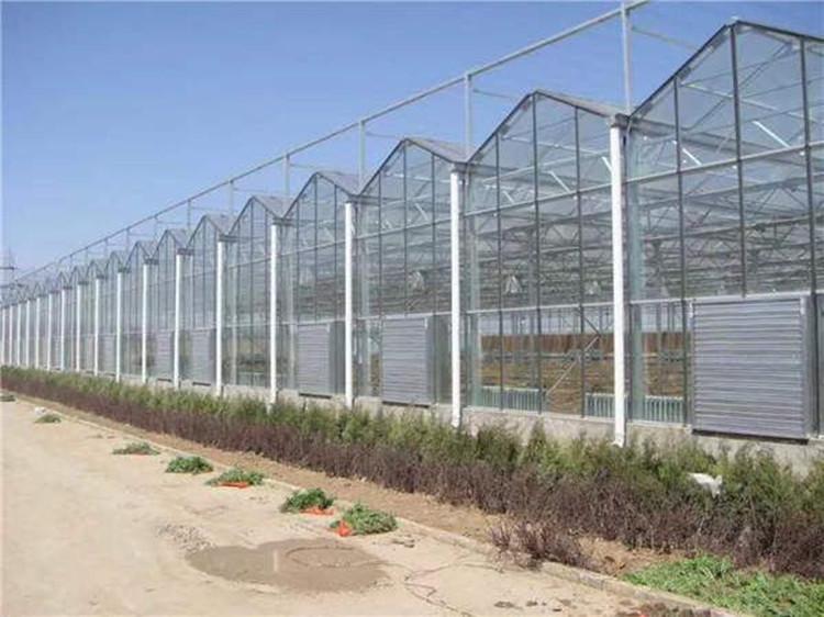 优质钢化玻璃温室 抗老化 免费提供技术 承包安装