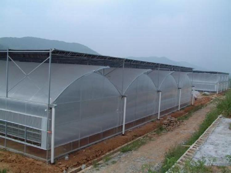 连栋薄膜温室价格 薄膜温室骨架 拱形温室制造 温室大棚骨架材料
