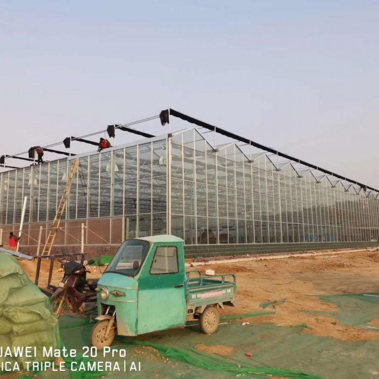 阳光板温室建设 纹络型玻璃温室 温室建设厂家  温室建设材料批发