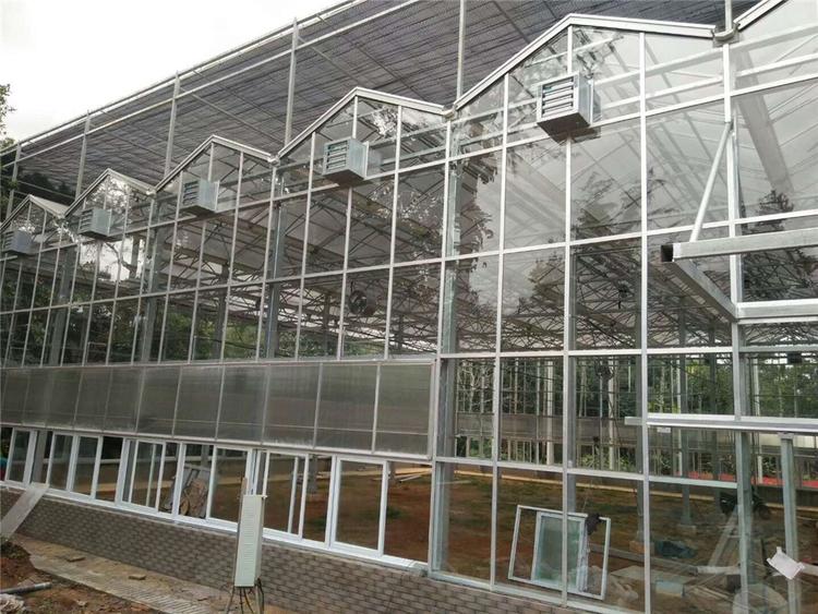蔬菜大棚 蔬菜大棚造价 建造蔬菜大棚