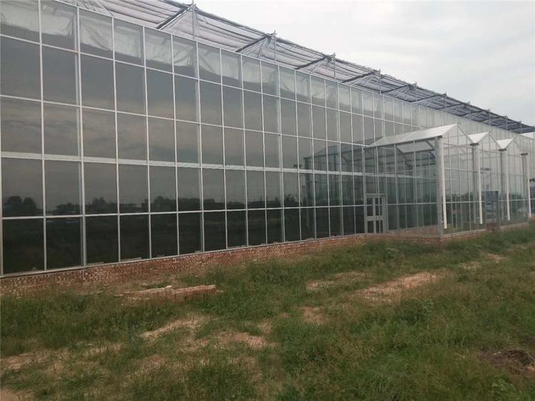 玻璃温室大棚 玻璃温室大棚建设 承建玻璃温室大棚