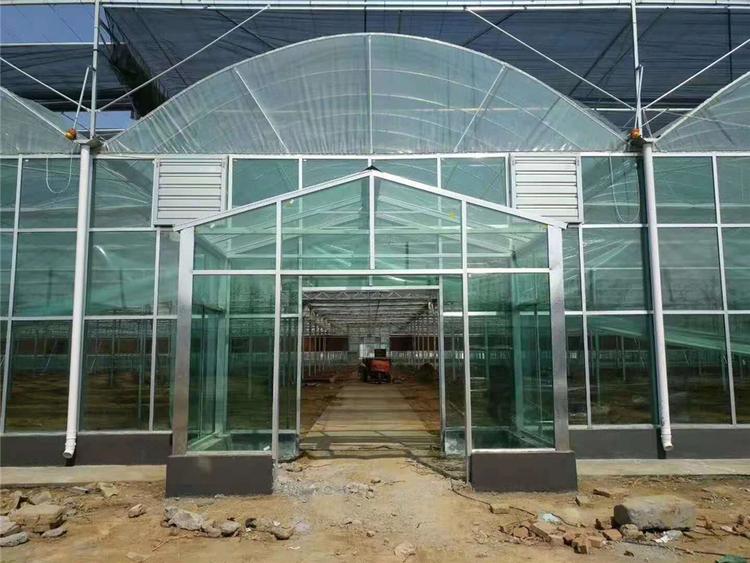玻璃温室大棚 玻璃温室大棚建造 河南玻璃温室大棚
