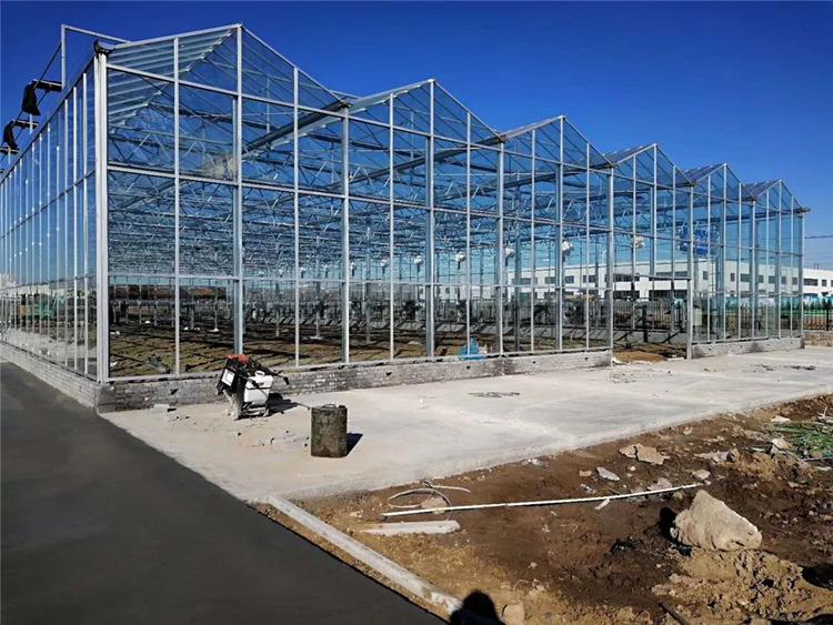 花卉温室大棚 花卉温室大棚建造 承建花卉温室大棚