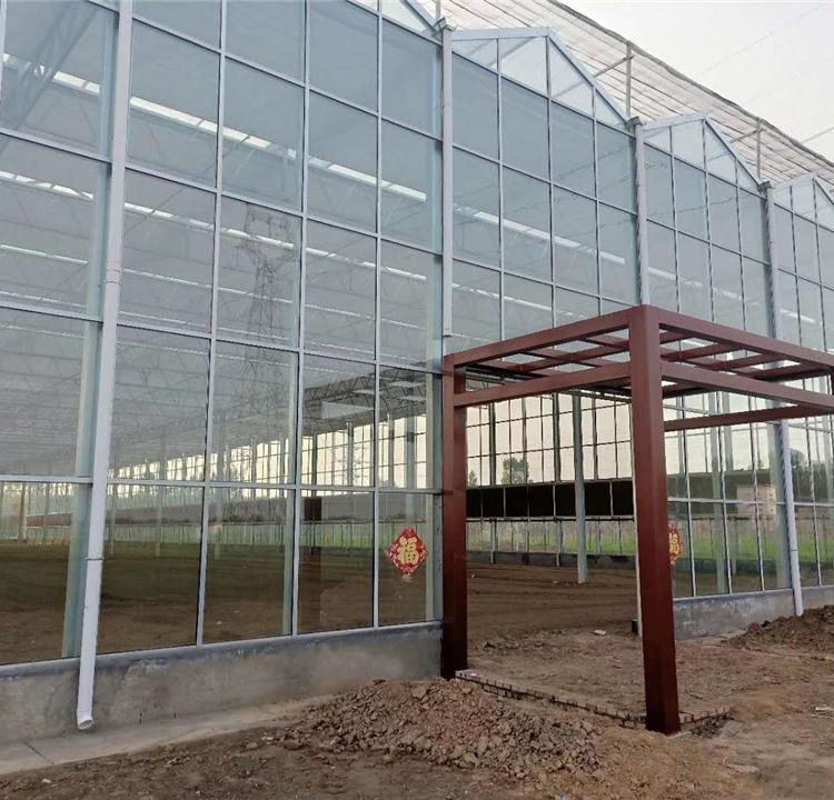 玻璃温室大棚 玻璃温室大棚价格 建造玻璃温室大棚