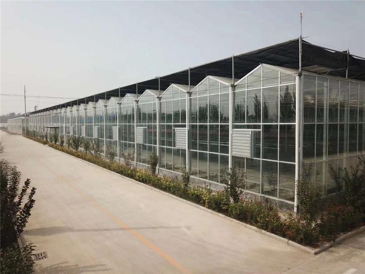 连栋玻璃温室 连栋玻璃温室价格 江苏连栋玻璃温室