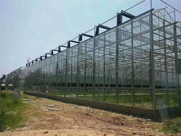 农业温室大棚 农业温室大棚报价 河南农业温室大棚