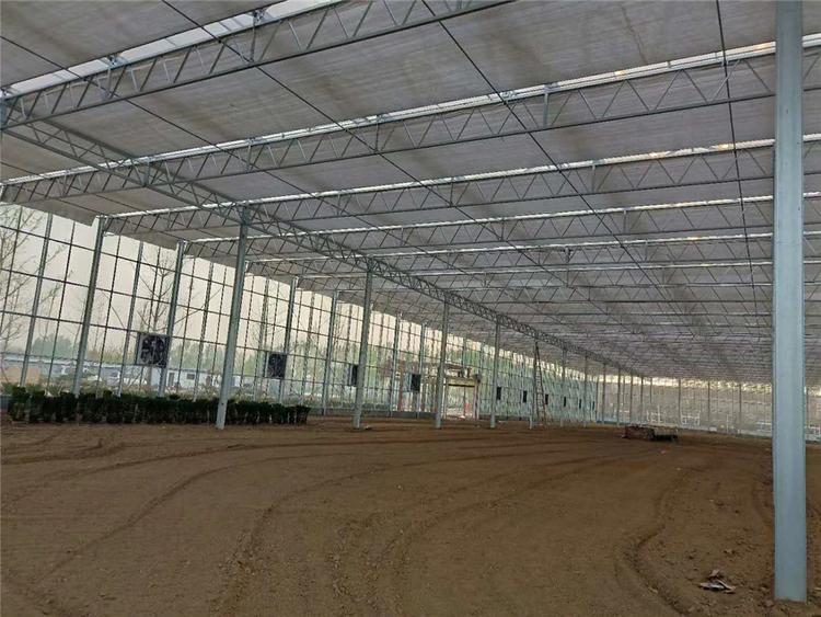 花卉温室大棚 花卉温室大棚建造 甘肃花卉温室大棚