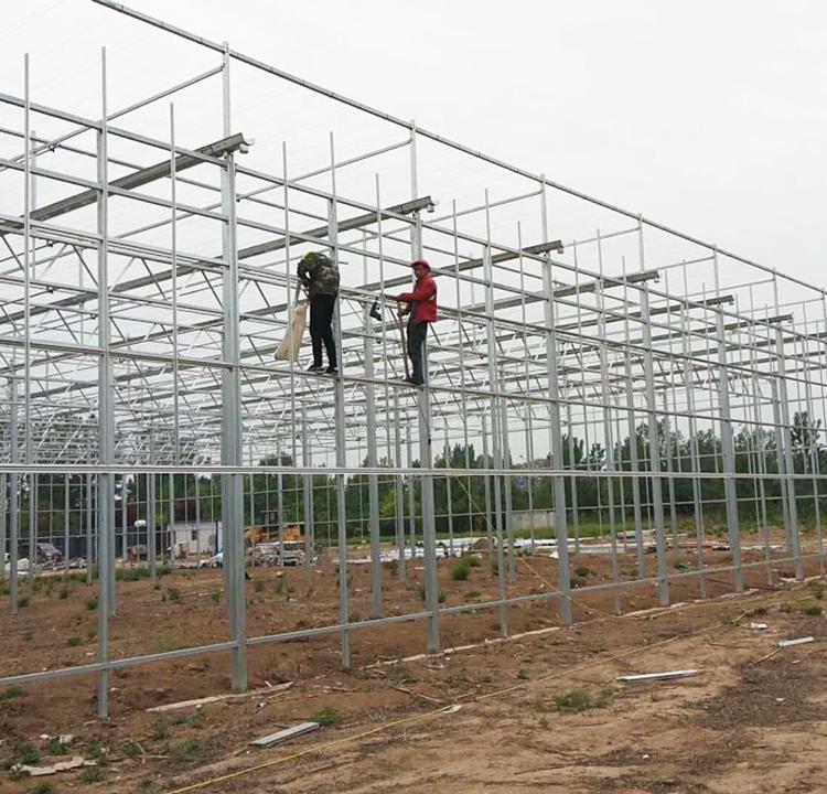 蔬菜大棚 蔬菜大棚建造 江苏蔬菜大棚