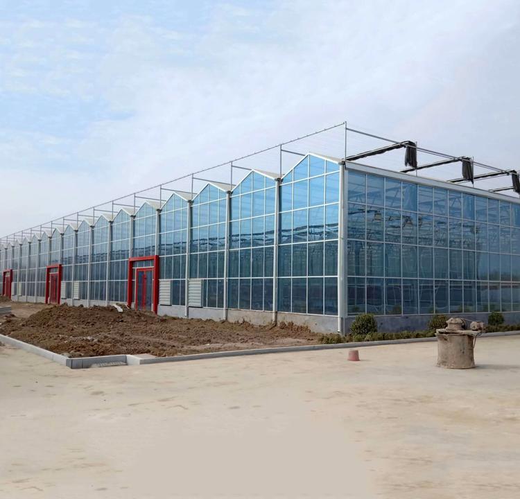 花卉温室大棚 花卉温室大棚设计 承建花卉温室大棚
