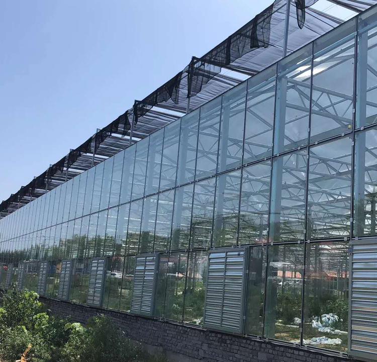 蔬菜大棚 蔬菜大棚造价 建设蔬菜大棚